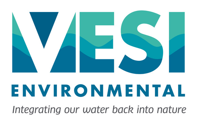VESI Environmental Ltd logo