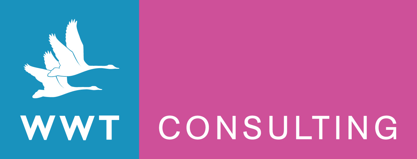 WWT Consulting logo